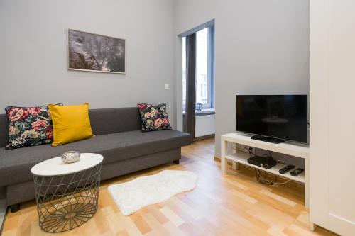 TV in/ali zabaviščno središče v nastanitvi Superb Wawel apartment, best location in town 26m2 P1