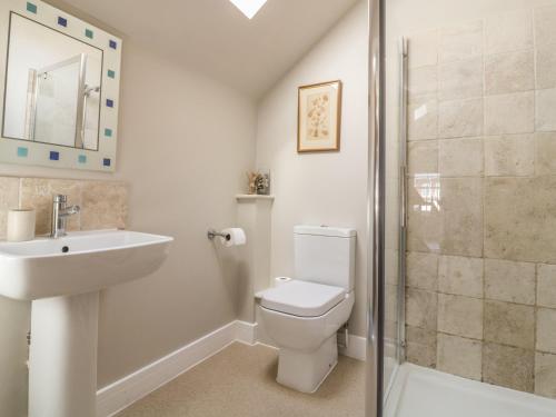 La salle de bains est pourvue de toilettes, d'un lavabo et d'une douche. dans l'établissement Mulberry Cottage, à Hadleigh
