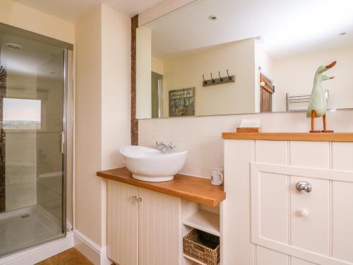a bathroom with a sink and a shower at Bank House in Newcastle Emlyn