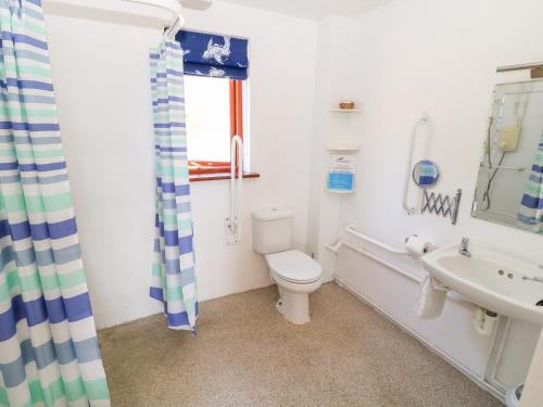 BeaworthyにあるWagtailの白いバスルーム(トイレ、シンク付)