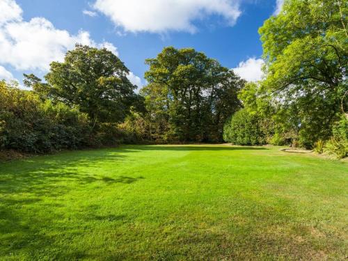 a large grass field with trees in the background at Great Bidlake Manor in Bridestowe