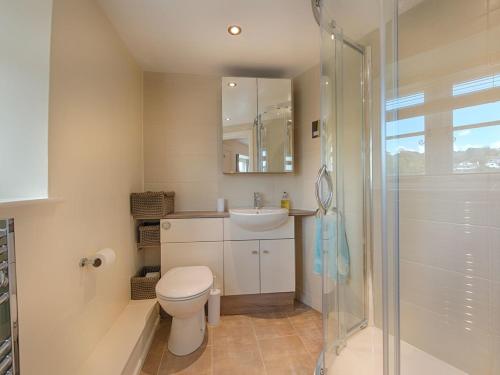 a bathroom with a toilet and a sink and a shower at Junket Cottage in Newton Ferrers