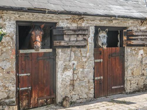 two horses looking out the window of a stable at Mrs Delaney's Loft in Ardfinnan