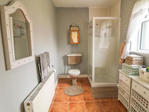 un bagno con wc e doccia di Gapple Cottage a Ballyboe
