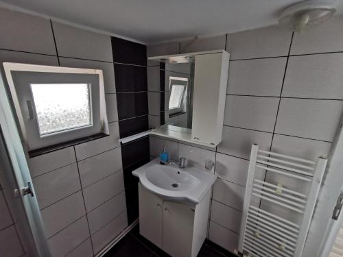 a small bathroom with a sink and a mirror at Casa Pescărușul Vesel in Baziaş