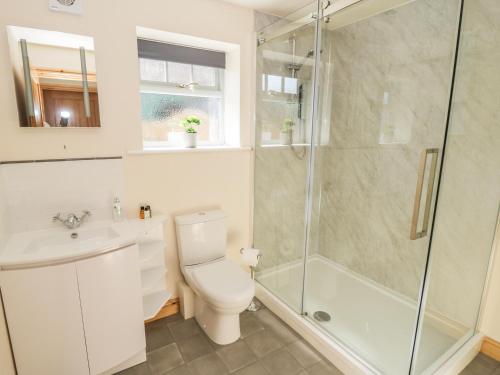 a bathroom with a shower and a toilet and a sink at The Hayloft in Husthwaite