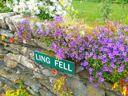 Ling Fell Cottage – Photos 2