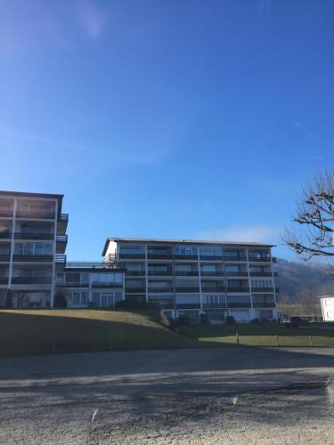 an apartment building with a road in front of it at Apartment Traunsee in Altmünster