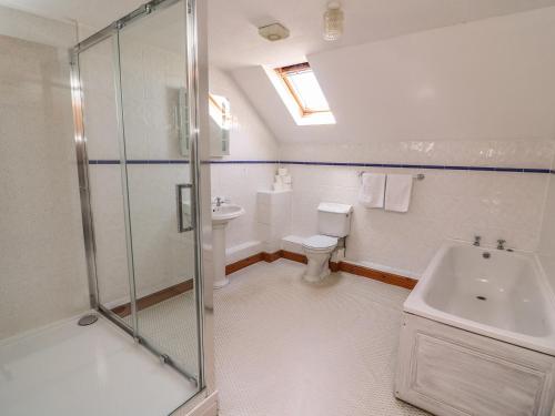 a bathroom with a shower and a toilet and a sink at Glanyrafon in Rhayader