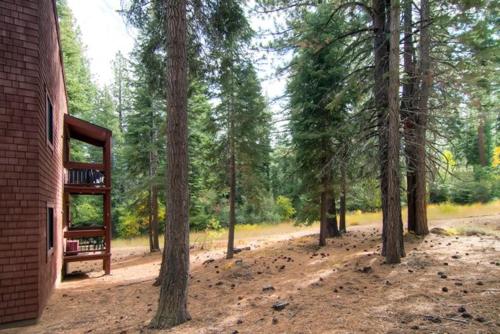 a view of a forest with trees and a building at Ski-InandSki-Out Northstar Condo Near Lake Tahoe! in Truckee