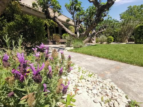 Gallery image of Hôtel Sous les Figuiers in Saint-Rémy-de-Provence