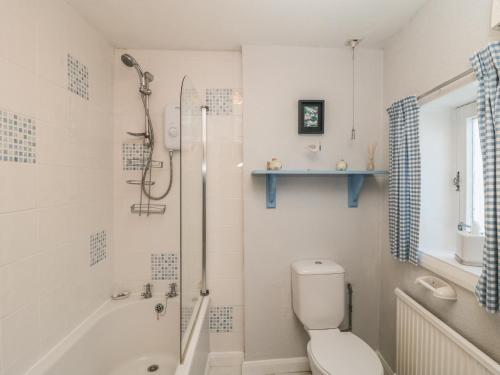 ein Badezimmer mit einer Dusche, einem WC und einer Badewanne in der Unterkunft Fishermans Cottage in Saltburn-by-the-Sea