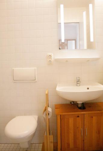a bathroom with a sink and a toilet and a mirror at Apartment von Schivelbusch in Markkleeberg