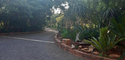 a road with plants on the side of the road at Suikerbosrant Sleep and go in Pretoria