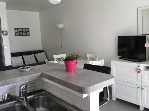 une cuisine avec un évier et un plan de travail dans l'établissement LE SAPHYR, à Antibes