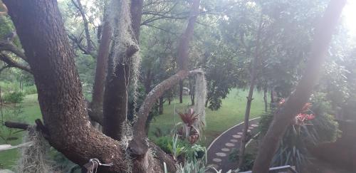 a garden with trees and a walkway in a park at Suikerbosrant Sleep and go in Pretoria