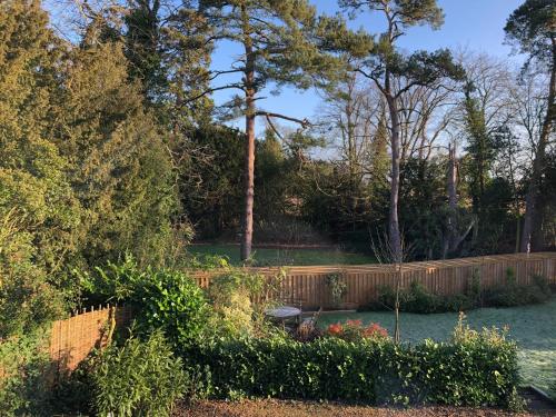 Hare Lodge – Photos 3
