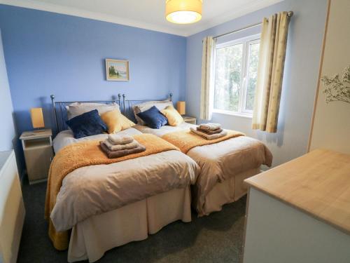 two beds in a room with blue walls at Dartmoor View in Exeter