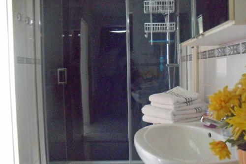 a bathroom with a sink and a shower with towels at Ferienwohnung Am Apelsberg in Neuhaus am Rennweg