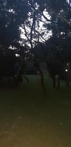 a group of trees in a park with green grass at Suikerbosrant Sleep and go in Pretoria