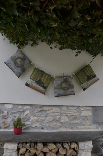 a bunch of pictures hanging on a wall with a plant at CASA RURAL Arriaran in Leitza