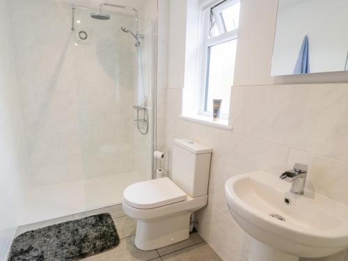 a bathroom with a toilet and a sink and a shower at Pen Y Braich Uchaf in Brynkir