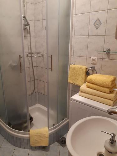 a bathroom with a shower and a sink at Apartments Jurkovic in Grebaštica