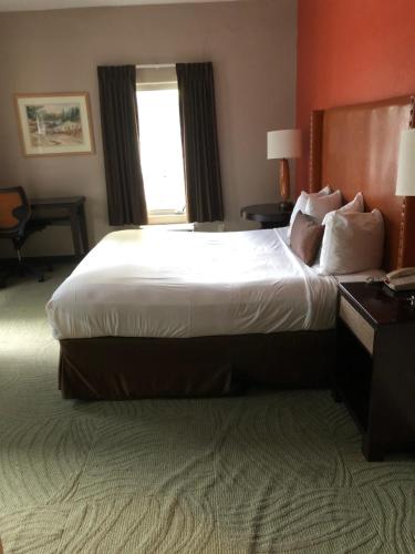 a hotel room with a large bed and a window at Downtown Value Inn in Portland