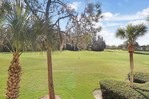 a group of palm trees in a golf course at Saddlebrook Golf Course view Condo with Kitchen in Wesley Chapel