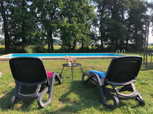 two chairs and a table in the grass near a pool at Ferienapartments Spreewaldwiesen in Vetschau