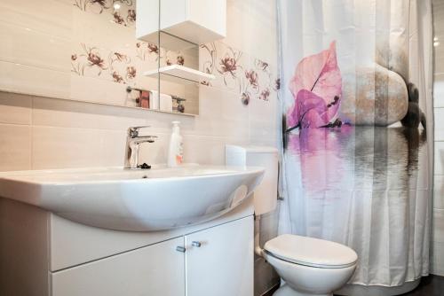a bathroom with a sink and a toilet at Bilić S in Dugi Rat