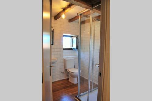 a bathroom with a toilet and a glass shower door at LA CASITA VERDE in Onís