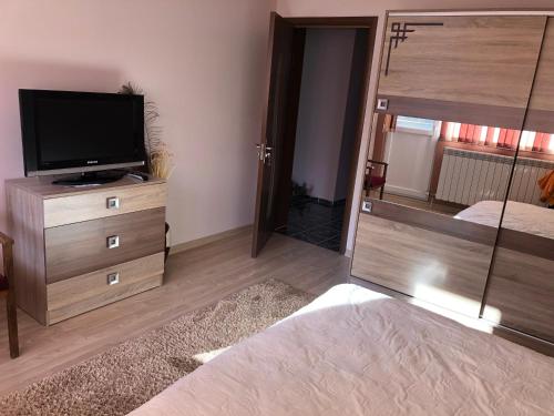 a bedroom with a television and a dresser with a bed at Vasilevi House in Devin