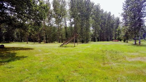 a ladder in the middle of a field with trees at Auberge de villechaume in Sennely