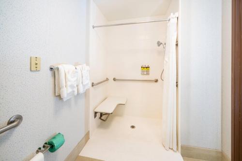 a bathroom with a shower and a toilet at Holiday Inn Express Rochelle, an IHG Hotel in Rochelle