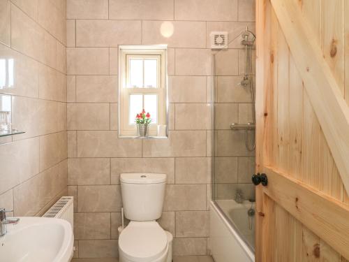 un bagno con un water, un lavandino e una finestra di Macreddin Rock Holiday Cottage a Aughrim