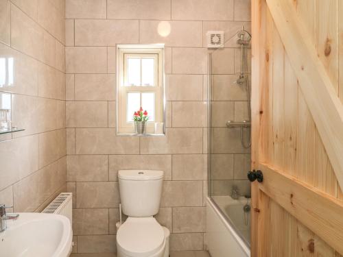 a bathroom with a toilet and a sink and a window at Macreddin Rock Holiday Cottage in Aughrim