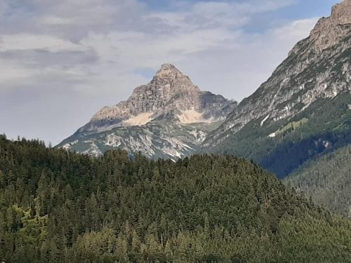 a view of a mountain with trees and mountains at Ferienwohnung Frauenschuh in Vorderhornbach