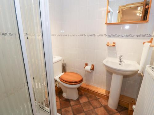 a bathroom with a toilet and a sink at The Byre in Llandyfrydog