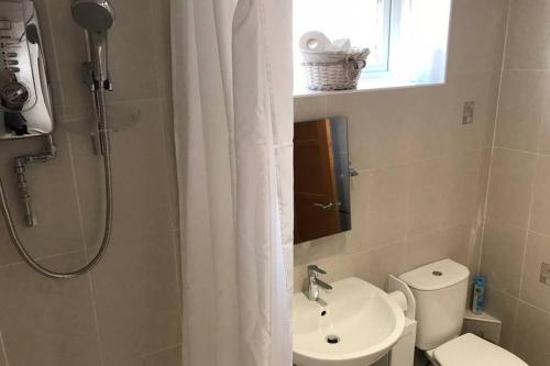 ein Badezimmer mit Toilette, Waschbecken und Dusche in der Unterkunft 2 Catherines City Cottage in Perth