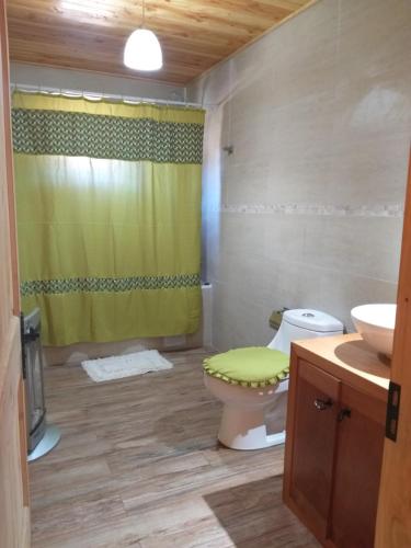 a bathroom with a toilet and a green shower curtain at El Encuentro Malalcahuello in Malalcahuello