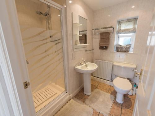 a bathroom with a shower and a toilet and a sink at Dove Farm Cottage in Louth