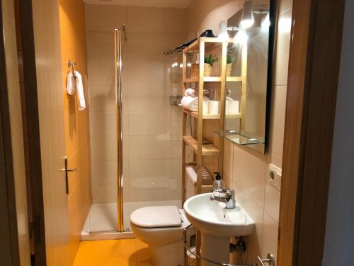 ein Bad mit einem WC, einer Dusche und einem Waschbecken in der Unterkunft EL RINCÓN de LOLI - Lic UAT607 in Pamplona