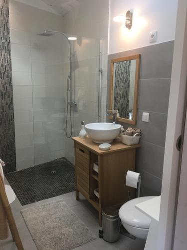 une salle de bain avec un lavabo, des toilettes et une douche dans l'établissement T2 entre mer et montagne, à Larressore