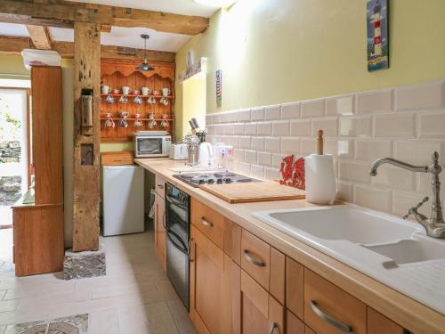 阿伯里斯特威斯的住宿－Felin Iago，厨房配有水槽和炉灶