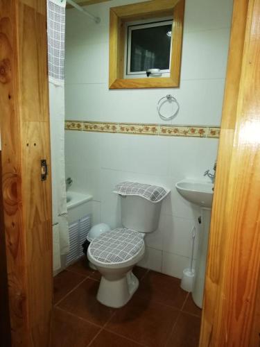 a small bathroom with a toilet and a sink at Cabaña Vista al Lago in Llanquihue