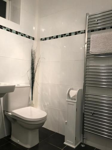 a white bathroom with a toilet and a sink at 1 Catherines City Cottage in Perth