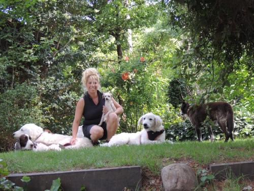Gallery image of Aldea del bosque in Villa Ventana