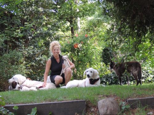 a woman sitting on the grass with three dogs at Aldea del bosque in Villa Ventana