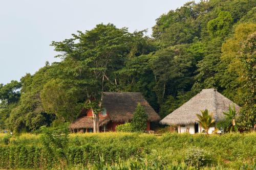 two houses with thatched roofs in a field with trees at Amuna Ayurveda and Wellness Retreat in Sigiriya